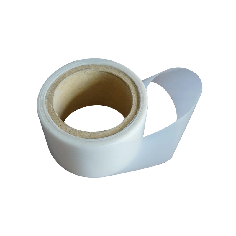 PTFE Film