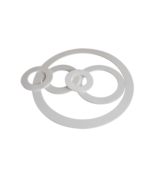 ptfe gasket