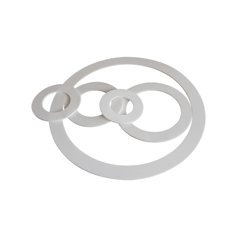 PTFE Gasket